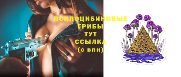 mdpv Каменка