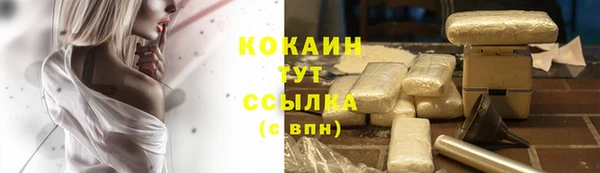 mdpv Каменка